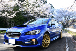 フォトコン2020年4月受賞